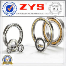 Zys Made in China Low Price Deep Groove Ball Bearing 61922